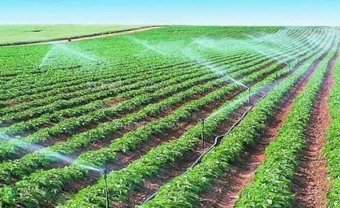 抽插逼逼好舒服免费视频农田高 效节水灌溉